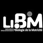 Logo Libm